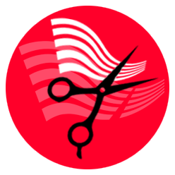 ICON Hairdressing 1